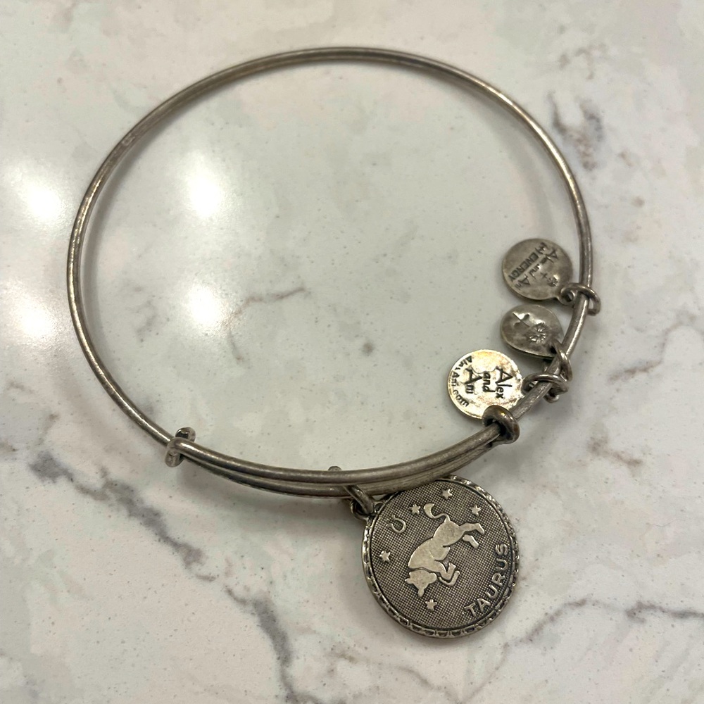 Vintage Alex and Ani Charm Bracelet